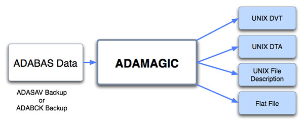 ADAMAGIC Diagram